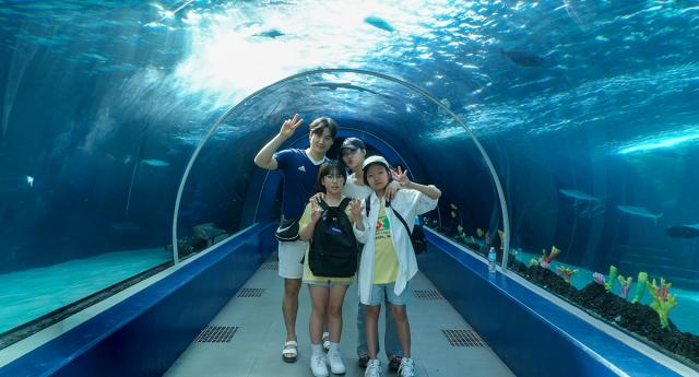 <br>
	안녕하세요~ JJES M.Dohan입니다. 지난 일요일, 학생들과 함께 세부 오션파크와 SM 시사이드몰을 다녀왔습니다. 오션파크에서는 다양한 해양생물과 새, 귀여운 펭귄까지 관람하며 즐거운 시간을 보냈고, SM 시사이드...